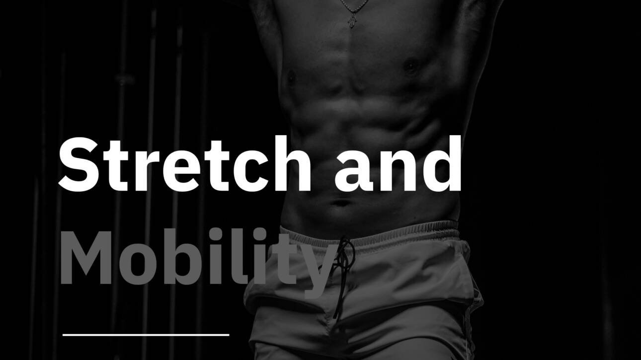 Knee — Mobility & Rehab